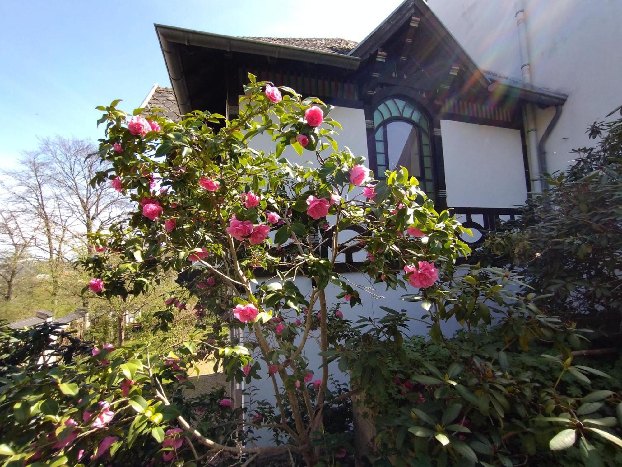 Villa Historisches Haus Am Triller Saarbrücken Esterno foto